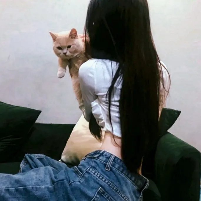 今夜百乐门第一季